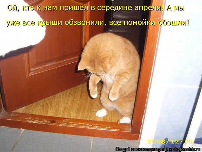 Ни с того ни с сего упала картина